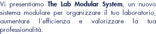 Vi presentiamo The Lab Modular System, un nuovo sistema modulare per organizzare il tuo laboratorio, aumentare l’efficienza e valorizzare la tua professionalità.